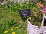 image of grave number 829493